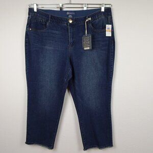 Democracy Slim Jeans Women's Plus Size 24W Blue Denim Stretch High Rise Straight